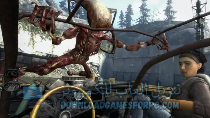 سيرفرات هاف لايف